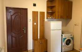 Apartament 1 camera, 40 mp, 2 balcoane, zona strazii Corneliu Coposu