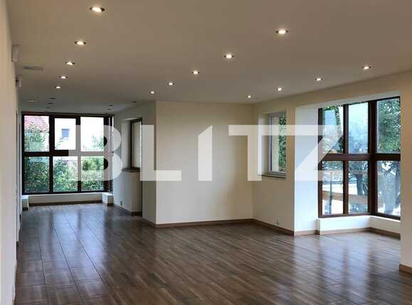 Spațiu comercial de închiriat Andrei Mureşanu - 62954SIC | BLITZ Cluj-Napoca | Poza2