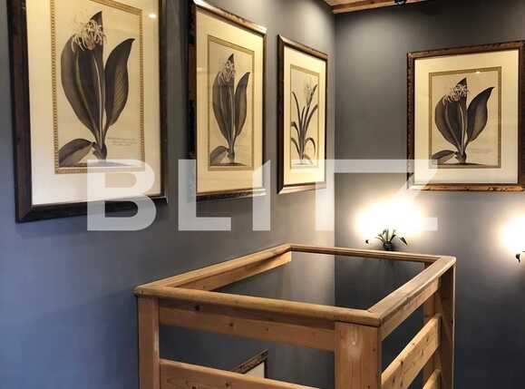 Spațiu comercial de închiriat Andrei Mureşanu - 62954SIC | BLITZ Cluj-Napoca | Poza14