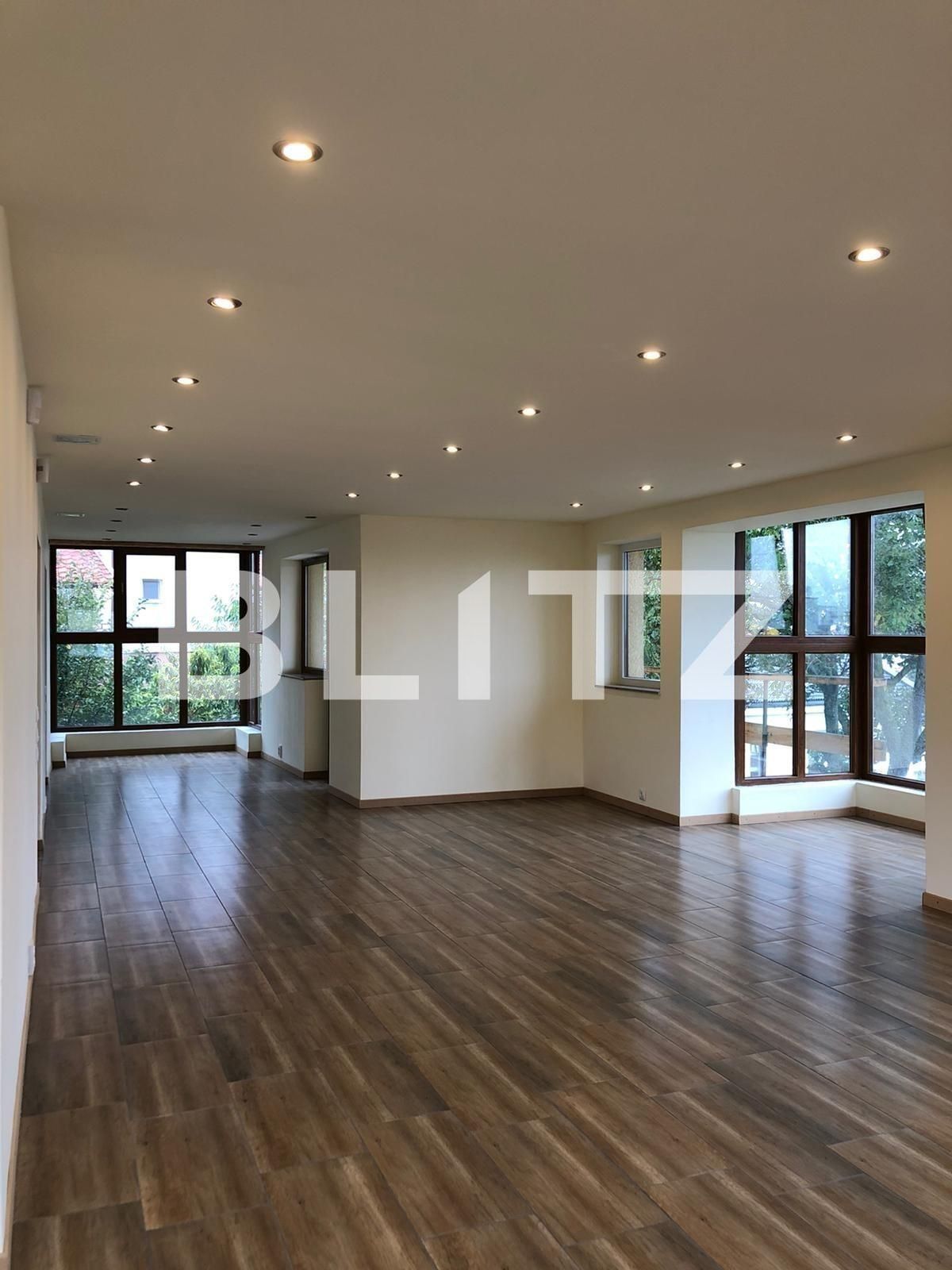 Spațiu comercial de închiriat Andrei Mureşanu - 62954SIC | BLITZ Cluj-Napoca | Poza2