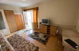 Garsoniera decomandata, 26 mp, zona Expo