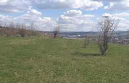 Teren de vanzare cu suprafata de 3000 mp, zona Voronet 