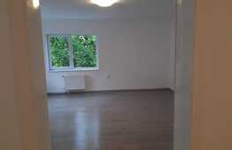 Casa multifunctionala, renovata, cu curte generoasa, 200 mp, zona Traian Vuia