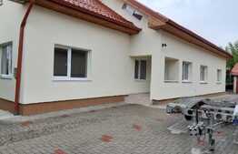 Casa multifunctionala, renovata, cu curte generoasa, 200 mp, zona Traian Vuia