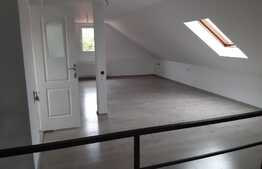 Casa multifunctionala, renovata, cu curte generoasa, 200 mp, zona Traian Vuia