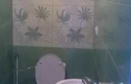 Casa finisata, 250 mp,  900 mp teren, 8 parcari, zona strazii Fabricii