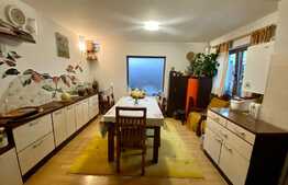 Casa in cartierul Florilor, 182 mp utili, 330 mp teren