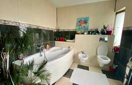 Casa in cartierul Florilor, 182 mp utili, 330 mp teren