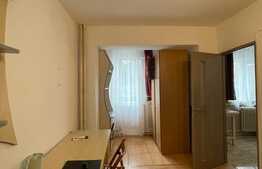 Garsoniera 30 mp, parcare, pet friendly, B-dul Titulescu