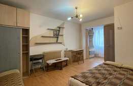 Garsoniera 30 mp, parcare, pet friendly, B-dul Titulescu