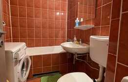 Garsoniera 30 mp, parcare, pet friendly, B-dul Titulescu