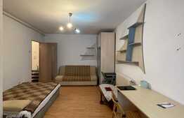 Garsoniera 30 mp, parcare, pet friendly, B-dul Titulescu