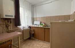 Garsoniera 30 mp, parcare, pet friendly, B-dul Titulescu