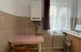 Garsoniera 30 mp, parcare, pet friendly, B-dul Titulescu