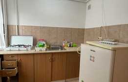 Garsoniera 30 mp, parcare, pet friendly, B-dul Titulescu