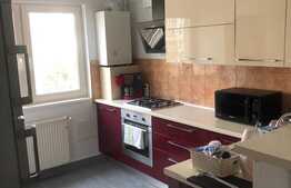 Apartament 3 camere, finisat la cheie, tavan inalt, bloc nou, Plopilor