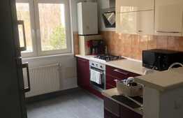 Apartament 3 camere, finisat la cheie, tavan inalt, bloc nou, Plopilor