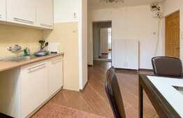 Investitie! Apartament 2 camere decomandate, Gradini Manastur