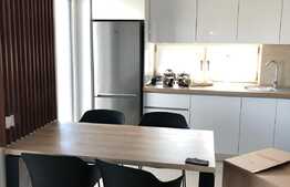 Totul nou, garsoniera, 30 mp, terasa, Mina Residence