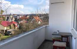 2 camere, decomandat, pet friendly, 60 mp, parcare, zona stadion CFR