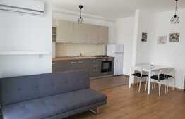 Apartament cu 2 camere, lux, 52 mp, zona strazii Feroviarilor 