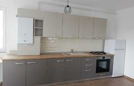 Apartament cu 2 camere, lux, 52 mp, zona strazii Feroviarilor 