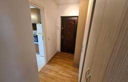 Apartament decomandat, 49mp, semineu, AC ! Zona strazii Gheorghe Doja!