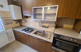 Apartament decomandat, 49mp, semineu, AC ! Zona strazii Gheorghe Doja!