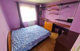 Apartament decomandat, 49mp, semineu, AC ! Zona strazii Gheorghe Doja!