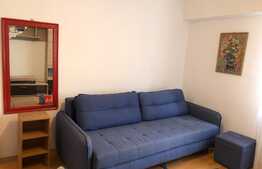 Apartament 1 camera, 30 mp, mobilat modern, zona strazii N. Titulescu