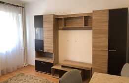 Apartament 1 camera, 30 mp, mobilat modern, zona strazii N. Titulescu