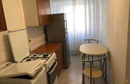Apartament 1 camera, 30 mp, mobilat modern, zona strazii N. Titulescu