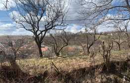 Teren intravilan 750mp, front de 22ml, Feleacu