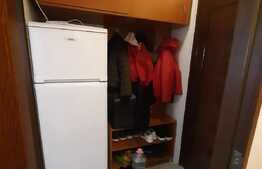 Garsoniera spatioasa, zona Tractoru 