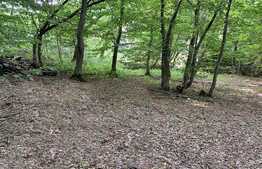 Teren Faget 1237 mp, front 20 ml