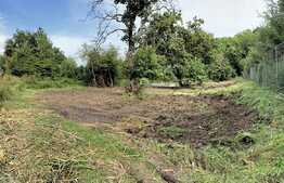 Teren Faget 1237 mp, front 20 ml