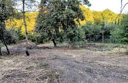 Teren Faget 1237 mp, front 20 ml