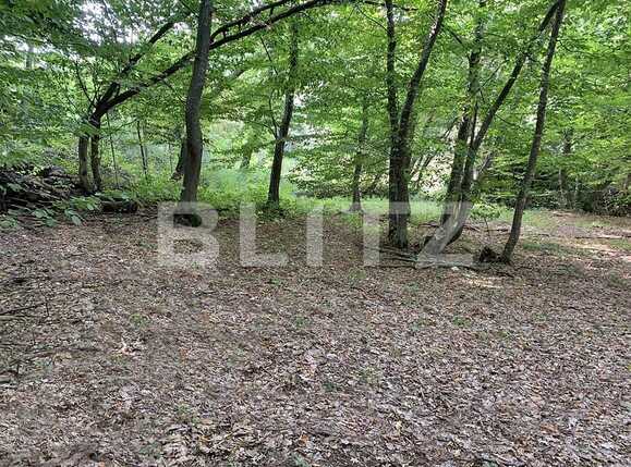 Teren de vânzare Făget - 63073TV | BLITZ Cluj-Napoca | Poza1