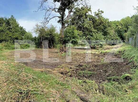 Teren de vânzare Făget - 63073TV | BLITZ Cluj-Napoca | Poza2