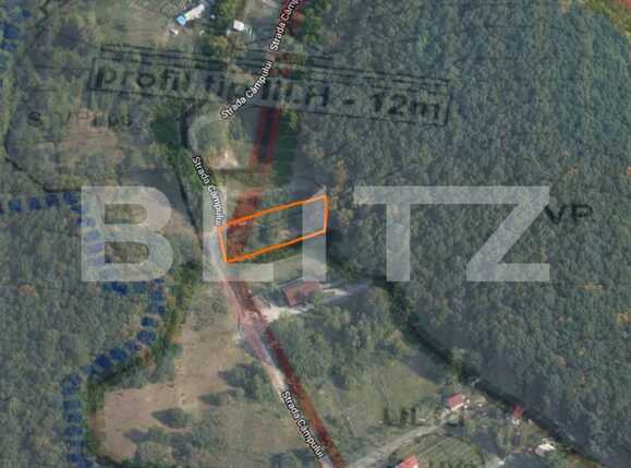 Teren de vânzare Făget - 63073TV | BLITZ Cluj-Napoca | Poza6