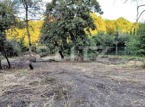 Teren de vânzare Făget - 63073TV | BLITZ Cluj-Napoca | Poza3