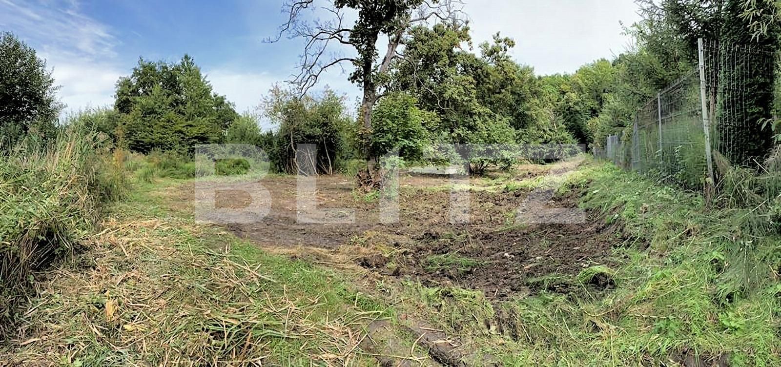 Teren de vânzare Făget - 63073TV | BLITZ Cluj-Napoca | Poza2