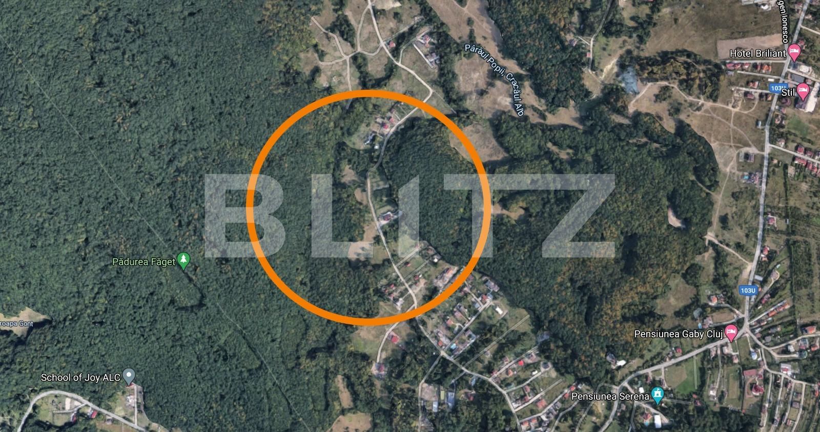 Teren de vânzare Făget - 63073TV | BLITZ Cluj-Napoca | Poza5