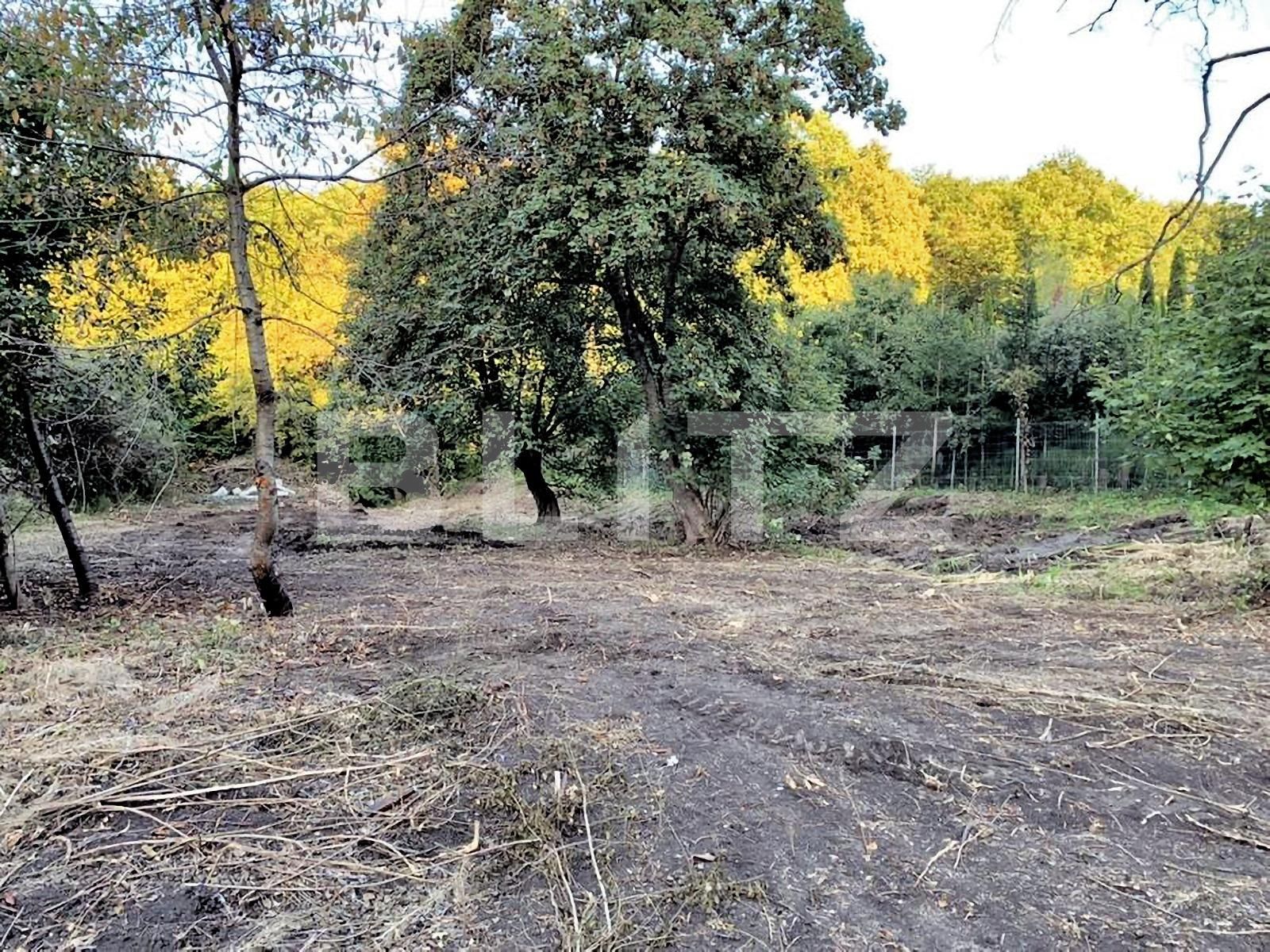 Teren de vânzare Făget - 63073TV | BLITZ Cluj-Napoca | Poza3