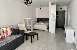 Apartament cu 1 camera decomandata,45mp, zona strazii Porțelanului. Piața 1 Mai