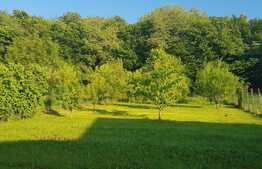  Duplex la cheie! Zona Tauti 500 mp teren