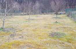  Duplex la cheie! Zona Tauti 500 mp teren