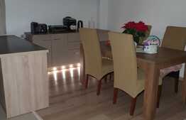 Ultra finisat, 3 camere, balcon! Zona Vivo