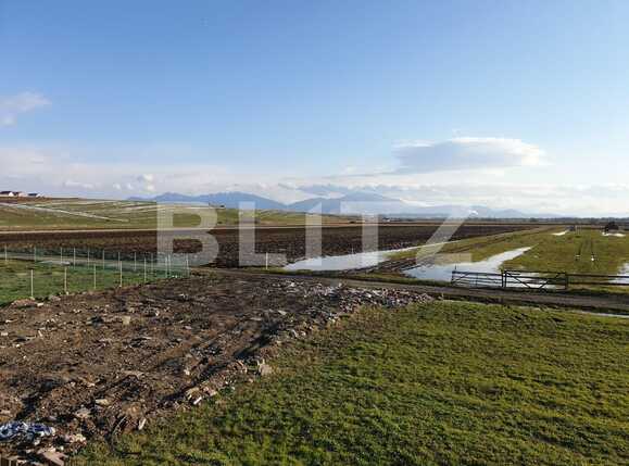 Casa de vânzare 5 camere Exterior Nord - 63094CV | BLITZ Brașov | Poza3