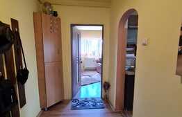 2 camere, 56 mp, mobilat, 2 garaje, zona Gheorghe Dima